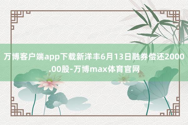 万博客户端app下载新洋丰6月13日融券偿还2000.00股-万博max体育官网