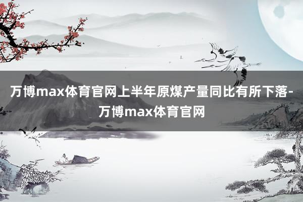 万博max体育官网上半年原煤产量同比有所下落-万博max体育官网