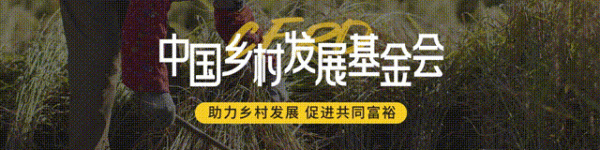 万博客户端app下载技俩将以传承空间、学徒奖金、产业扶捏等各项举措-万博max体育官网